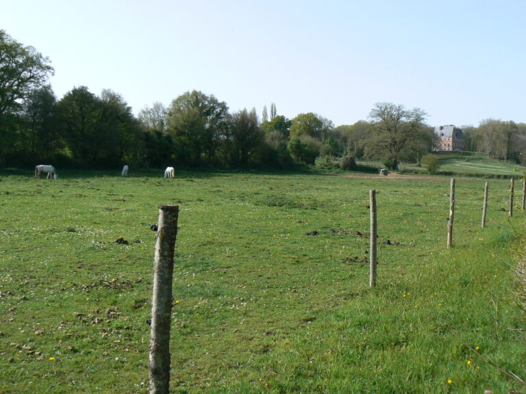 Lire la suite à propos de l’article test